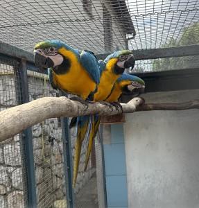 img_0246.jpeg